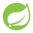 Logo Spring Boot